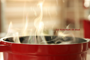 kremali_mantar_corbasi-3