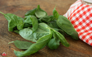 patlicanli_lazanya_jamie_oliver-2
