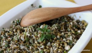 tavuklu_mas_fasulyesi_salatasi-1_bdb2723b9b3e424a3e82bbe9ce1f876a